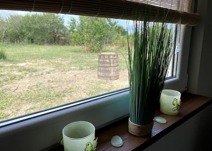 House Sunlight Vranino