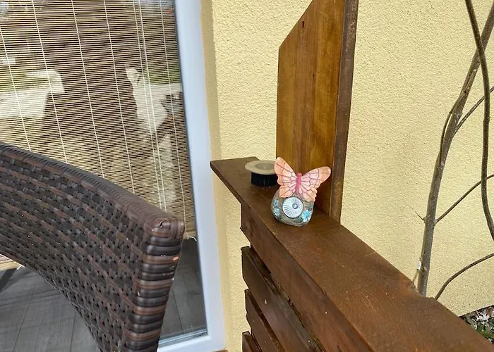 House Sunlight Vranino