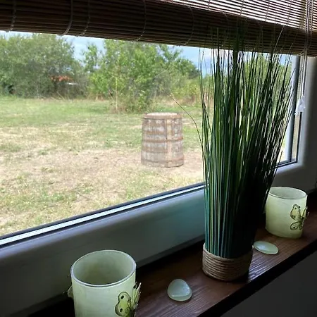 House Sunlight Vranino