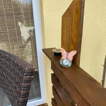 House Sunlight Vranino